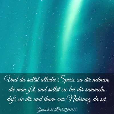 Picture 03 - Genesis 6:21 LUTH1912 - Und du sollst allerlei Speise zu dir nehmen, die - Bible Verse Picture