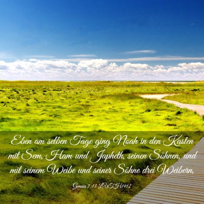 Picture 03 - Genesis 7:13 LUTH1912 - Eben am selben Tage ging Noah in den Kasten mit - Bible Verse Picture