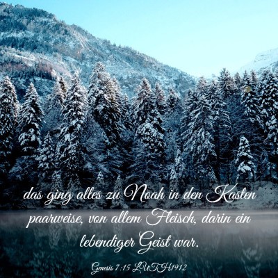 Picture 03 - Genesis 7:15 LUTH1912 - das ging alles zu Noah in den Kasten paarweise, - Bible Verse Picture