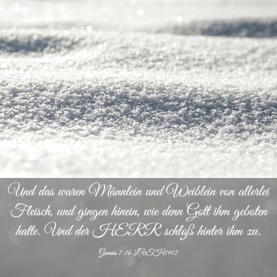 Picture 03 - Genesis 7:16 LUTH1912 - Und das waren Männlein und Weiblein von allerlei - Bible Verse Picture