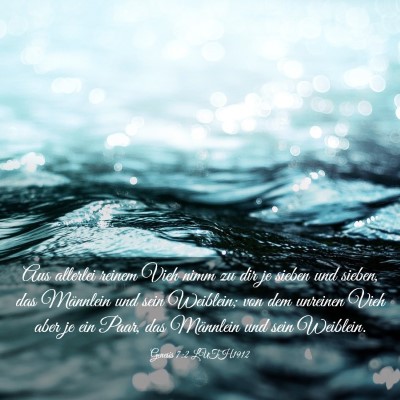 Picture 03 - Genesis 7:2 LUTH1912 - Aus allerlei reinem Vieh nimm zu dir je sieben - Bible Verse Picture