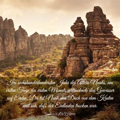 Picture 03 - Genesis 8:13 LUTH1912 - Im sechshundertundersten Jahr des Alters Noahs, - Bible Verse Picture