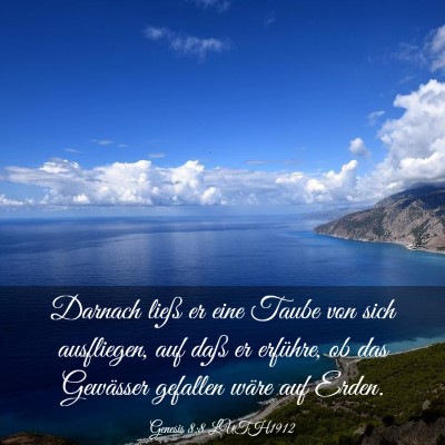Picture 03 - Genesis 8:8 LUTH1912 - Darnach ließ er eine Taube von sich ausfliegen, - Bible Verse Picture