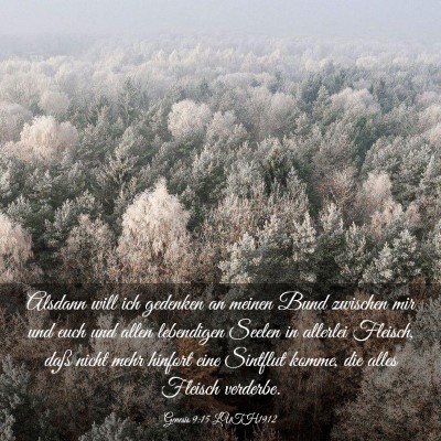 Picture 03 - Genesis 9:15 LUTH1912 - Alsdann will ich gedenken an meinen Bund zwischen - Bible Verse Picture