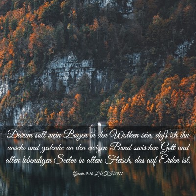 Picture 03 - Genesis 9:16 LUTH1912 - Darum soll mein Bogen in den Wolken sein, daß - Bible Verse Picture
