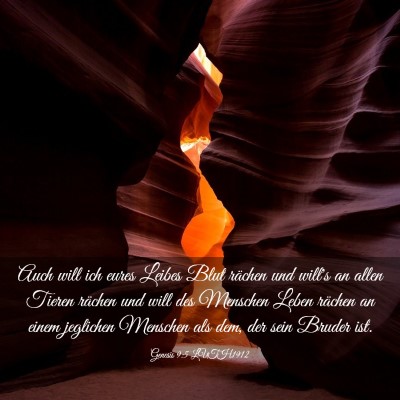 Picture 03 - Genesis 9:5 LUTH1912 - Auch will ich eures Leibes Blut rächen und - Bible Verse Picture