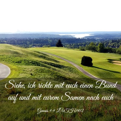 Picture 03 - Genesis 9:9 LUTH1912 - Siehe, ich richte mit euch einen Bund auf und mit - Bible Verse Picture