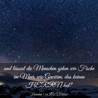 Picture 03 - Habakuk 1:14 LUTH1912 - und lässest die Menschen gehen wie Fische im - Bible Verse Picture