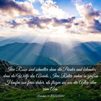 Picture 03 - Habakuk 1:8 LUTH1912 - Ihre Rosse sind schneller denn die Parder und - Bible Verse Picture