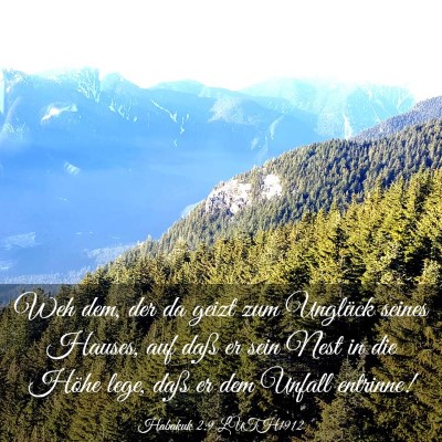 Picture 03 - Habakuk 2:9 LUTH1912 - Weh dem, der da geizt zum Unglück seines Hauses, - Bible Verse Picture