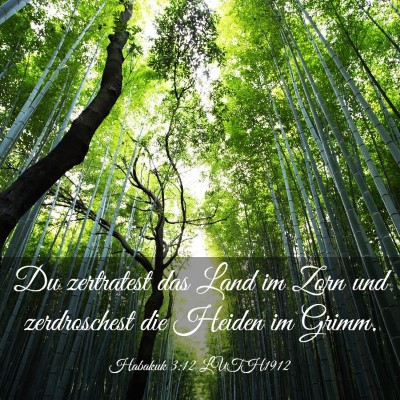 Picture 03 - Habakuk 3:12 LUTH1912 - Du zertratest das Land im Zorn und zerdroschest - Bible Verse Picture
