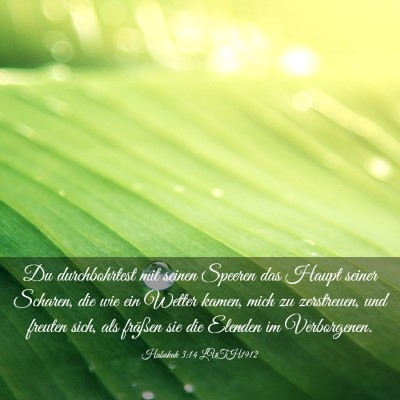 Picture 03 - Habakuk 3:14 LUTH1912 - Du durchbohrtest mit seinen Speeren das Haupt - Bible Verse Picture