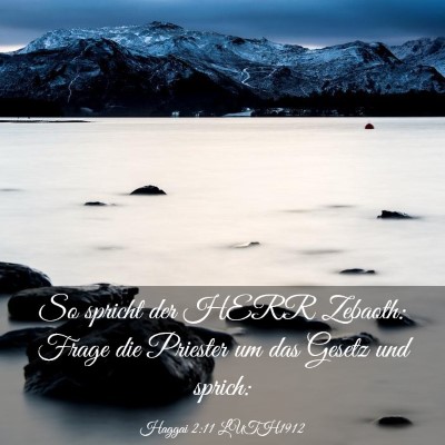 Picture 03 - Haggai 2:11 LUTH1912 - So spricht der HERR Zebaoth: Frage die Priester - Bible Verse Picture