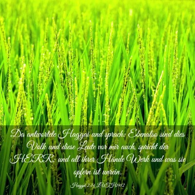 Picture 03 - Haggai 2:14 LUTH1912 - Da antwortete Haggai und sprach: Ebenalso sind - Bible Verse Picture