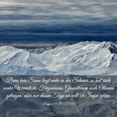 Picture 03 - Haggai 2:19 LUTH1912 - Denn kein Same liegt mehr in der Scheuer, so hat - Bible Verse Picture