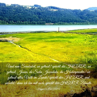 Picture 03 - Haggai 2:4 LUTH1912 - Und nun Serubabel, sei getrost! spricht der HERR; - Bible Verse Picture