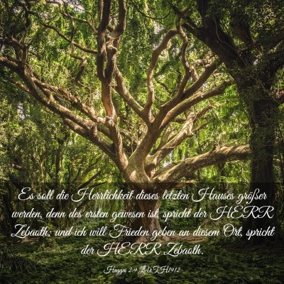 Picture 03 - Haggai 2:9 LUTH1912 - Es soll die Herrlichkeit dieses letzten Hauses - Bible Verse Picture