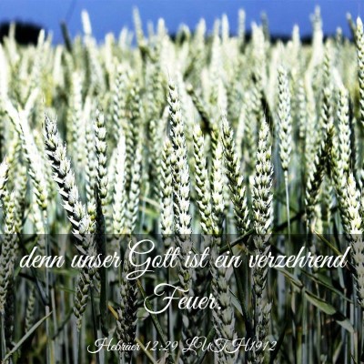 Picture 03 - Hebräer 12:29 LUTH1912 - denn unser Gott ist ein verzehrend - Bible Verse Picture