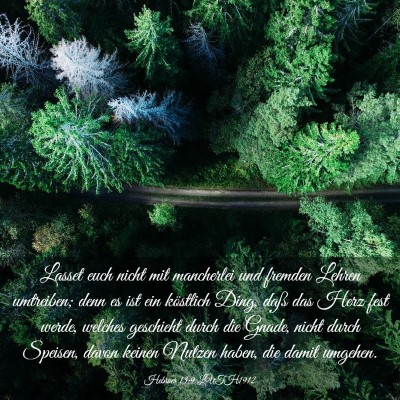 Picture 03 - Hebräer 13:9 LUTH1912 - Lasset euch nicht mit mancherlei und fremden - Bible Verse Picture
