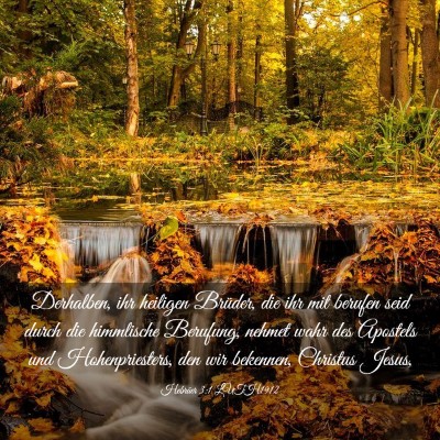 Picture 03 - Hebräer 3:1 LUTH1912 - Derhalben, ihr heiligen Brüder, die ihr mit - Bible Verse Picture