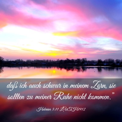 Picture 03 - Hebräer 3:11 LUTH1912 - daß ich auch schwur in meinem Zorn, sie sollten - Bible Verse Picture