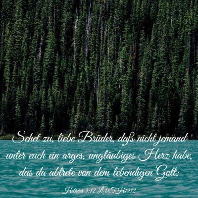 Picture 03 - Hebräer 3:12 LUTH1912 - Sehet zu, liebe Brüder, daß nicht jemand unter - Bible Verse Picture