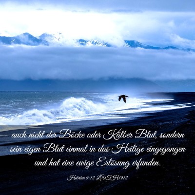 Picture 03 - Hebräer 9:12 LUTH1912 - auch nicht der Böcke oder Kälber Blut, sondern - Bible Verse Picture