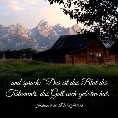 Picture 03 - Hebräer 9:20 LUTH1912 - und sprach: “Das ist das Blut des Testaments, - Bible Verse Picture