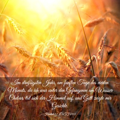 Picture 03 - Hesekiel 1:1 LUTH1912 - Im dreißigsten Jahr, am fünften Tage des - Bible Verse Picture