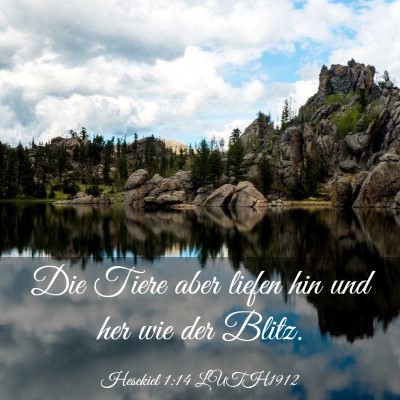 Picture 03 - Hesekiel 1:14 LUTH1912 - Die Tiere aber liefen hin und her wie der - Bible Verse Picture