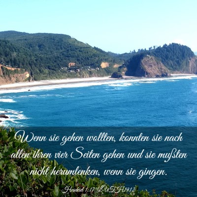 Picture 03 - Hesekiel 1:17 LUTH1912 - Wenn sie gehen wollten, konnten sie nach allen - Bible Verse Picture