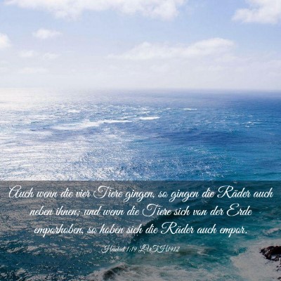 Picture 03 - Hesekiel 1:19 LUTH1912 - Auch wenn die vier Tiere gingen, so gingen die - Bible Verse Picture