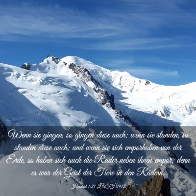 Picture 03 - Hesekiel 1:21 LUTH1912 - Wenn sie gingen, so gingen diese auch; wenn sie - Bible Verse Picture