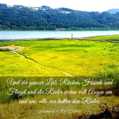 Picture 03 - Hesekiel 10:12 LUTH1912 - Und ihr ganzer Leib, Rücken, Hände und Flügel - Bible Verse Picture