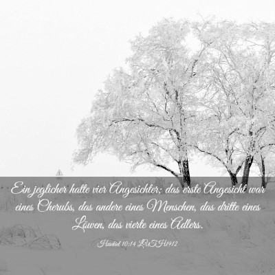 Picture 03 - Hesekiel 10:14 LUTH1912 - Ein jeglicher hatte vier Angesichter; das erste - Bible Verse Picture