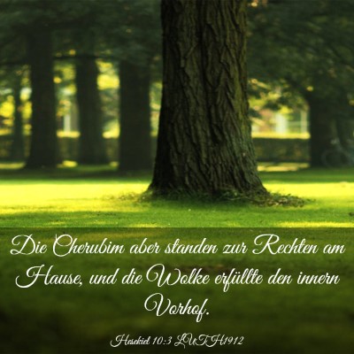 Picture 03 - Hesekiel 10:3 LUTH1912 - Die Cherubim aber standen zur Rechten am Hause, - Bible Verse Picture