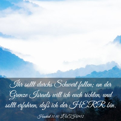 Picture 03 - Hesekiel 11:10 LUTH1912 - Ihr sollt durchs Schwert fallen; an der Grenze - Bible Verse Picture