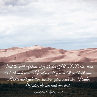 Picture 03 - Hesekiel 11:12 LUTH1912 - Und ihr sollt erfahren, daß ich der HERR bin; - Bible Verse Picture