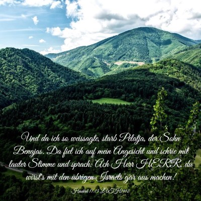 Picture 03 - Hesekiel 11:13 LUTH1912 - Und da ich so weissagte, starb Pelatja, der Sohn - Bible Verse Picture