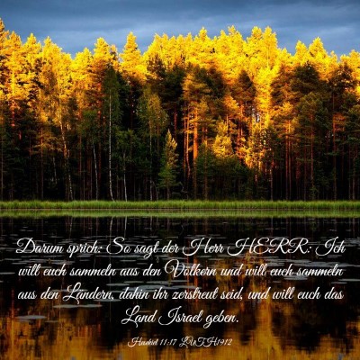 Picture 03 - Hesekiel 11:17 LUTH1912 - Darum sprich: So sagt der Herr HERR: Ich will - Bible Verse Picture