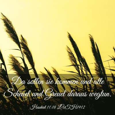 Picture 03 - Hesekiel 11:18 LUTH1912 - Da sollen sie kommen und alle Scheuel und Greuel - Bible Verse Picture