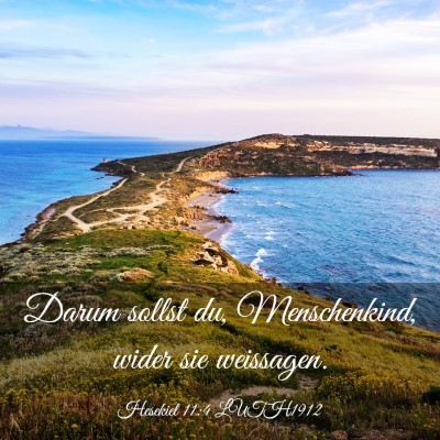 Picture 03 - Hesekiel 11:4 LUTH1912 - Darum sollst du, Menschenkind, wider sie - Bible Verse Picture