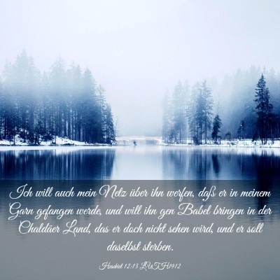 Picture 03 - Hesekiel 12:13 LUTH1912 - Ich will auch mein Netz über ihn werfen, daß er - Bible Verse Picture