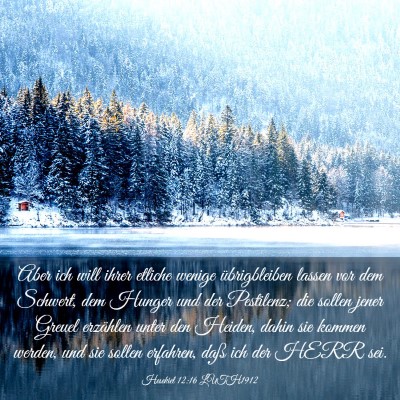 Picture 03 - Hesekiel 12:16 LUTH1912 - Aber ich will ihrer etliche wenige übrigbleiben - Bible Verse Picture