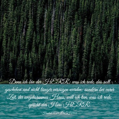 Picture 03 - Hesekiel 12:25 LUTH1912 - Denn ich bin der HERR; was ich rede, das soll - Bible Verse Picture