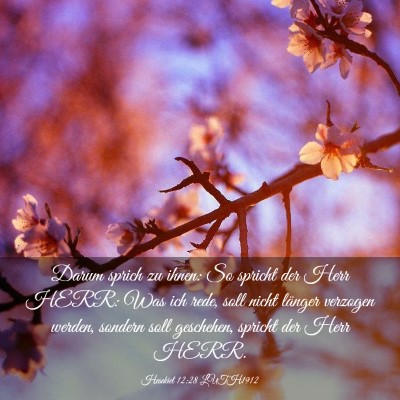 Picture 03 - Hesekiel 12:28 LUTH1912 - Darum sprich zu ihnen: So spricht der Herr HERR: - Bible Verse Picture