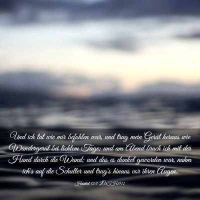Picture 03 - Hesekiel 12:7 LUTH1912 - Und ich tat wie mir befohlen war, und trug mein - Bible Verse Picture