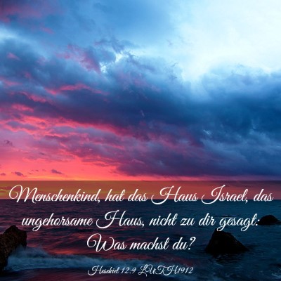 Picture 03 - Hesekiel 12:9 LUTH1912 - Menschenkind, hat das Haus Israel, das - Bible Verse Picture