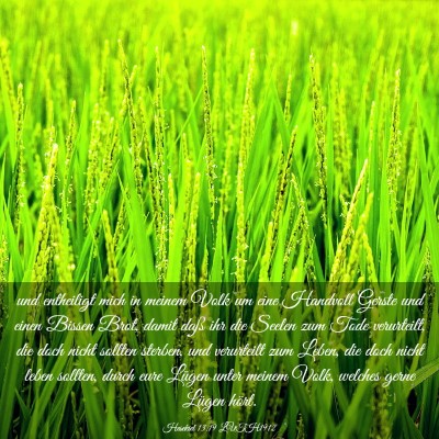Picture 03 - Hesekiel 13:19 LUTH1912 - und entheiligt mich in meinem Volk um eine - Bible Verse Picture