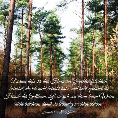 Picture 03 - Hesekiel 13:22 LUTH1912 - Darum daß ihr das Herz der Gerechten fälschlich - Bible Verse Picture